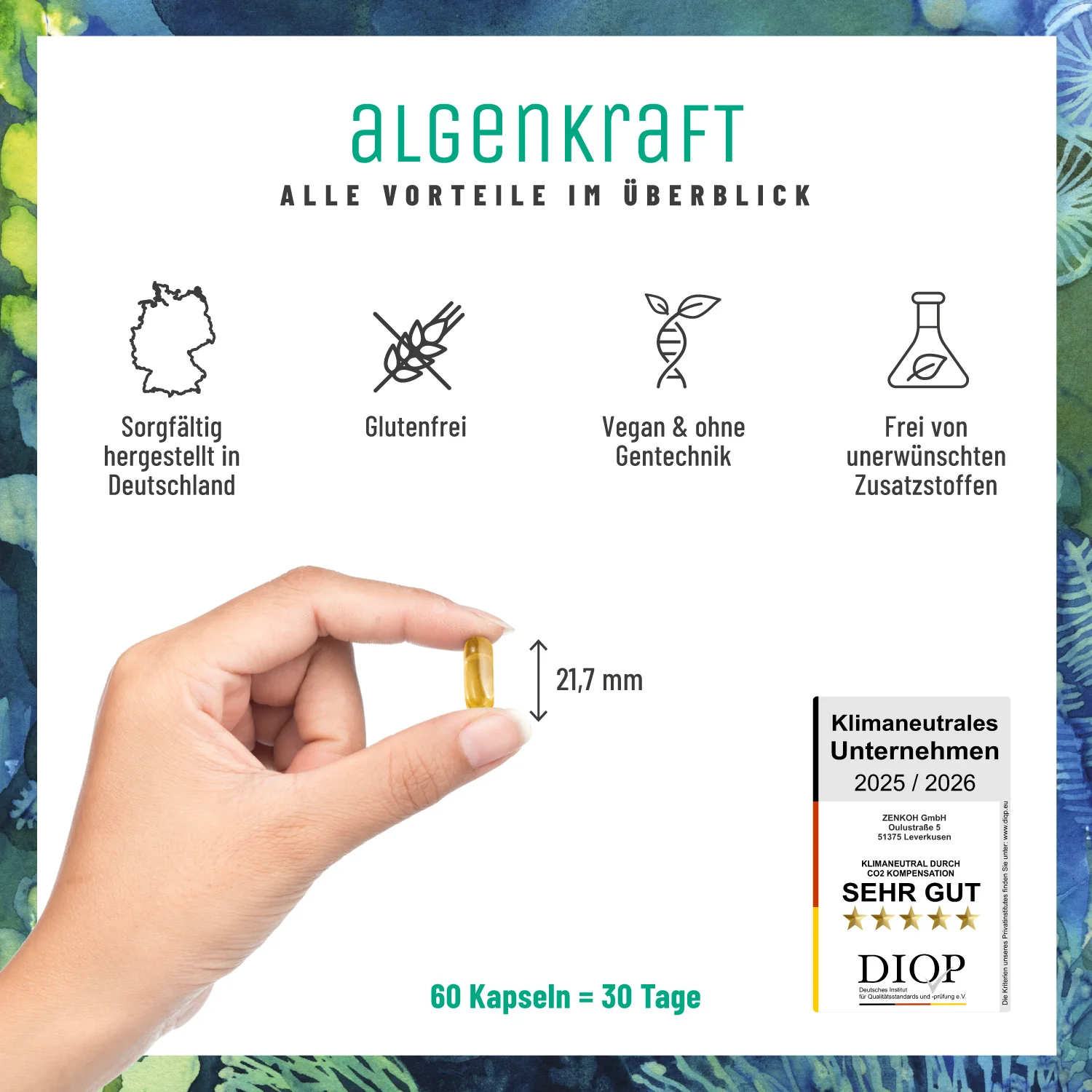 Algenkraft: Omega 3 Algenöl Kapseln - Image 9
