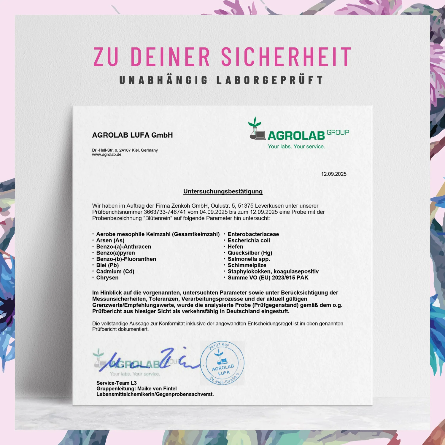 Blütenrein: Leber-Komplex mit Mariendistel - Image 7