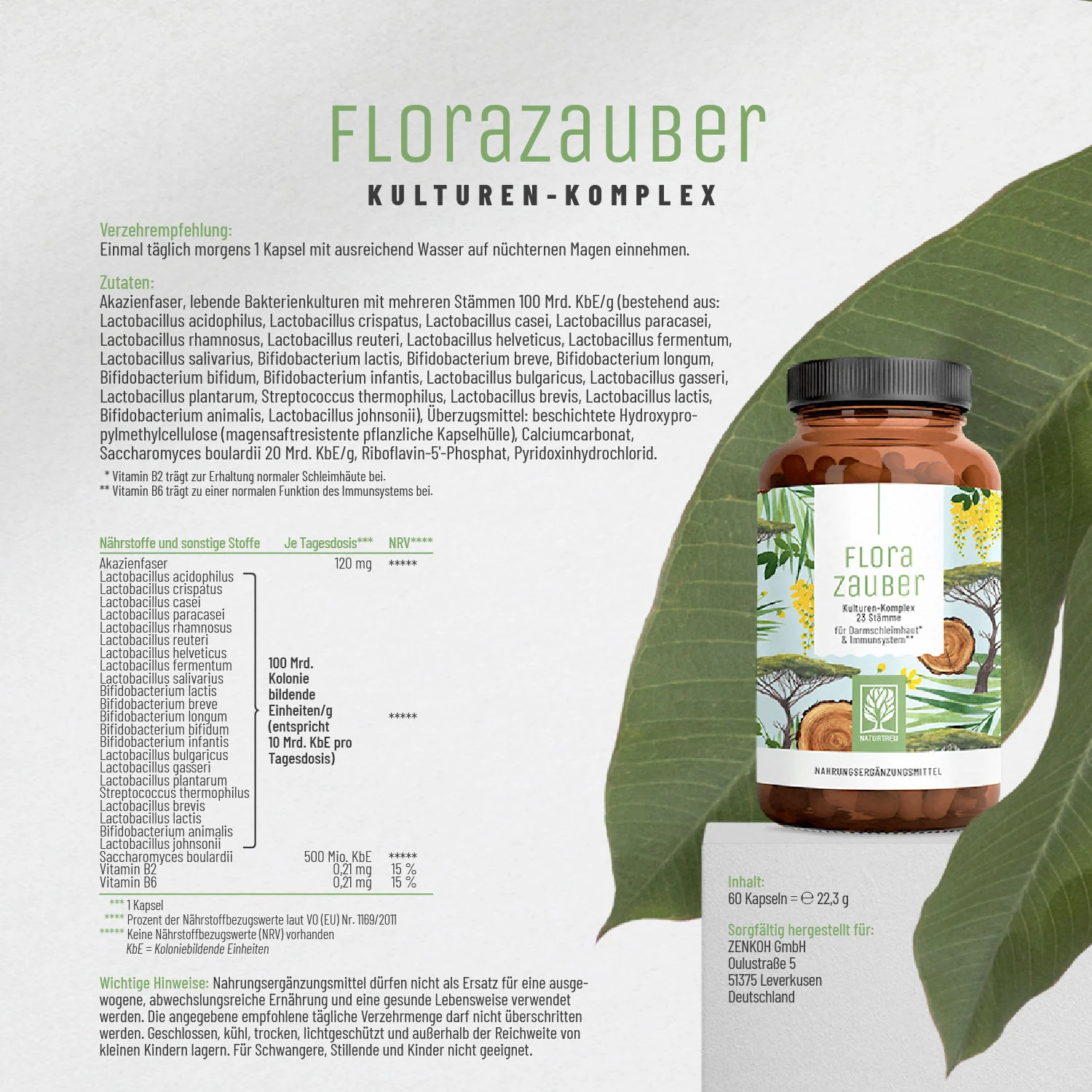 Florazauber: Kulturen-Komplex für den Darm* - Image 10