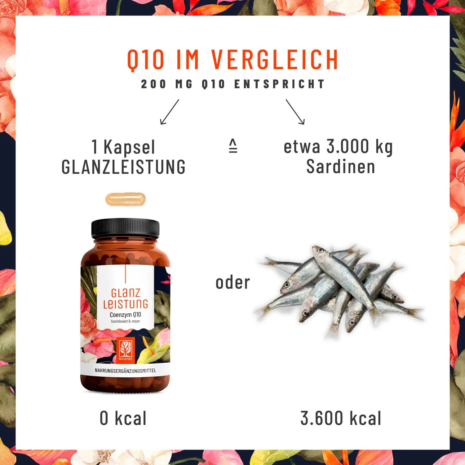 Glanzleistung: Coenzym Q10 - Image 7