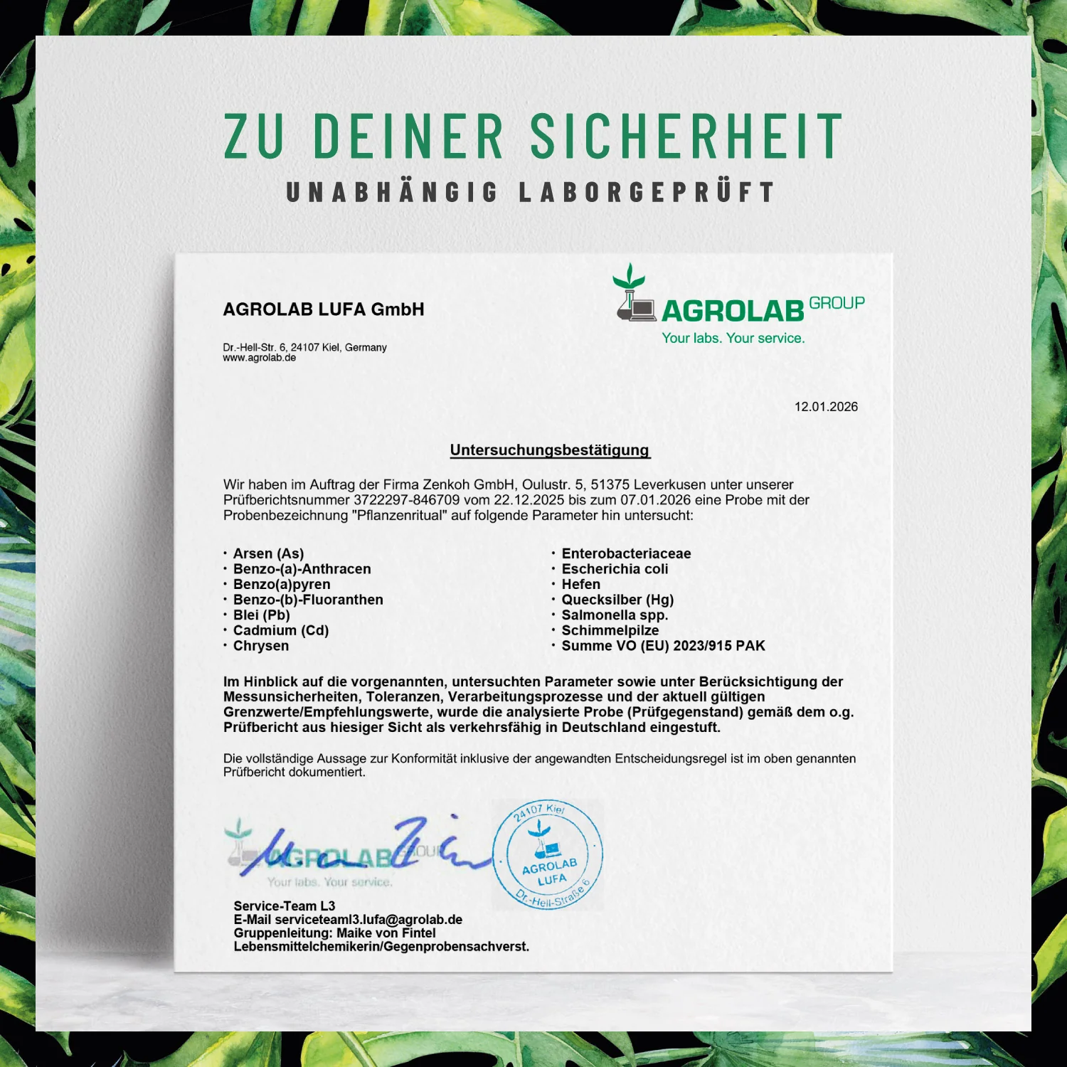 Pflanzenritual: Grünes Superfood Pulver - Image 9
