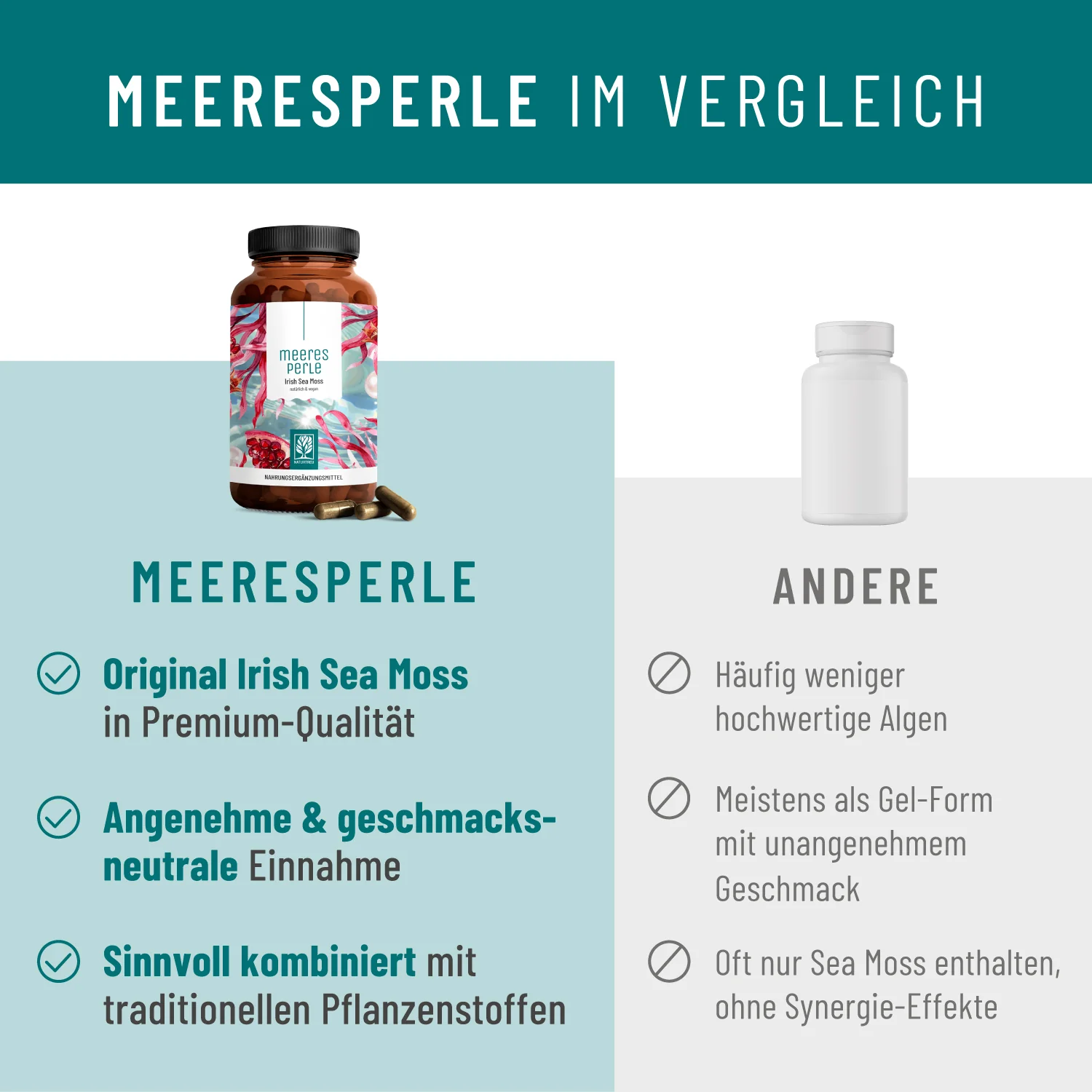 Meeresperle: Irish Sea Moss - Image 5