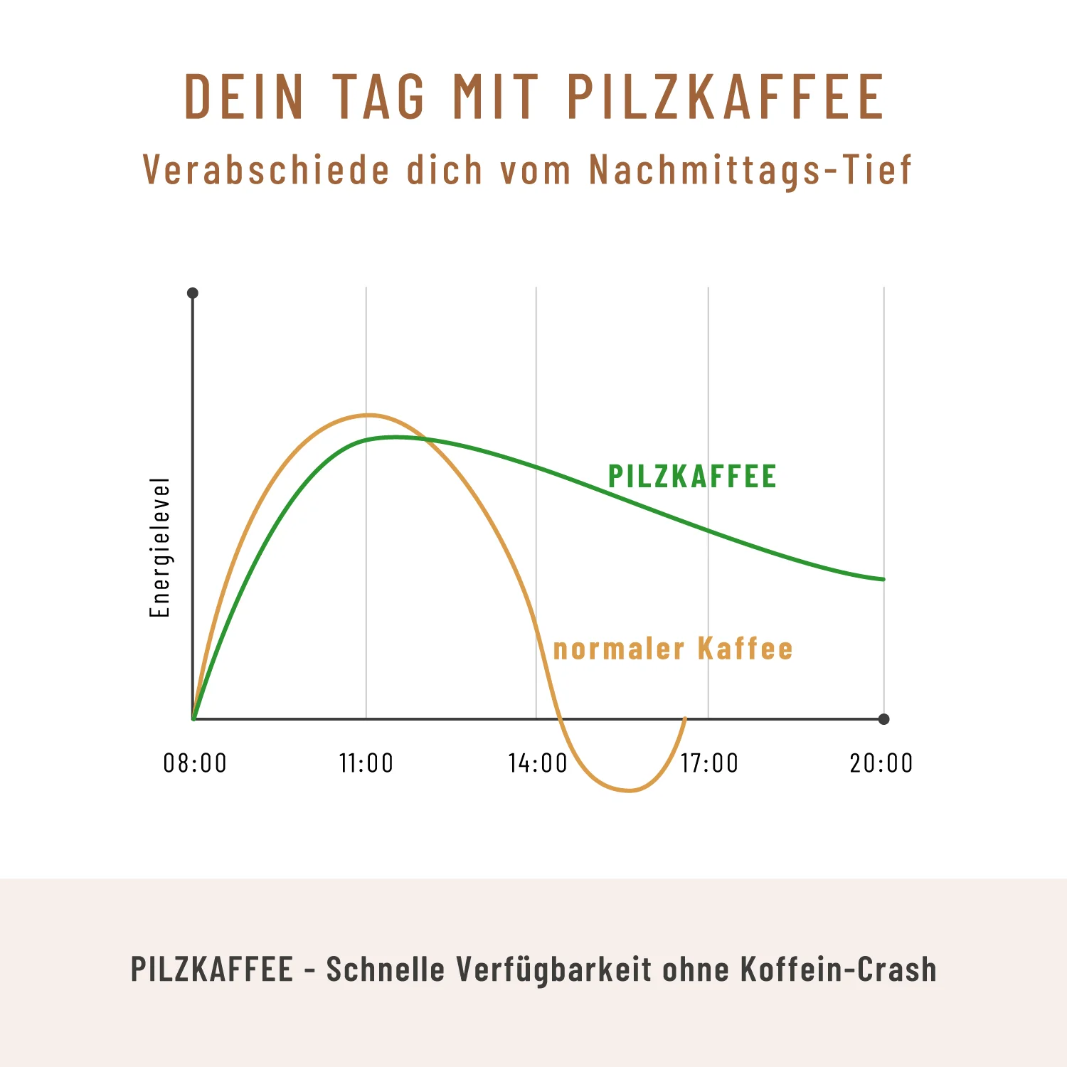 Pilzkaffee: Löwenmähne, Chaga, Reishi & Cordyceps - Image 5