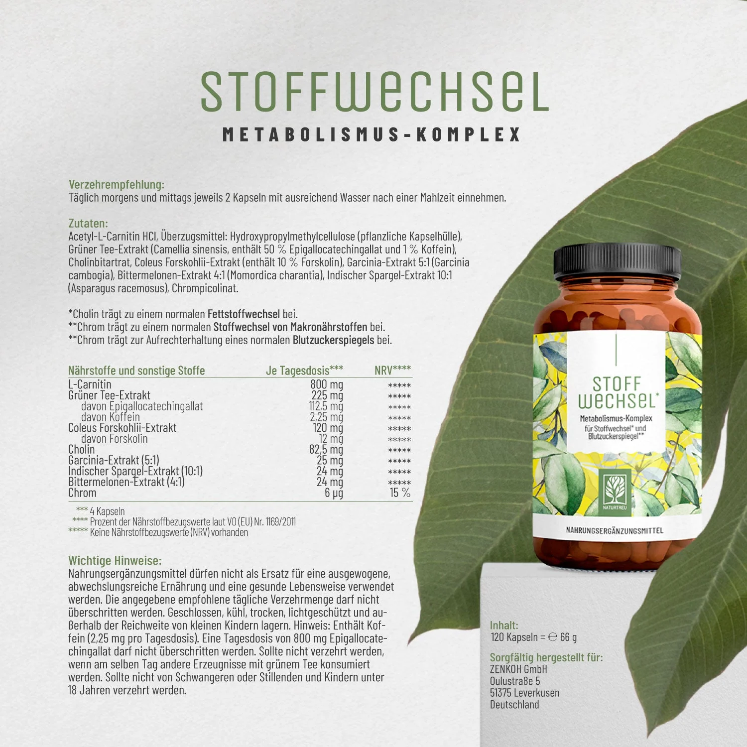 Fettstoffwechsel* Paket - Image 8
