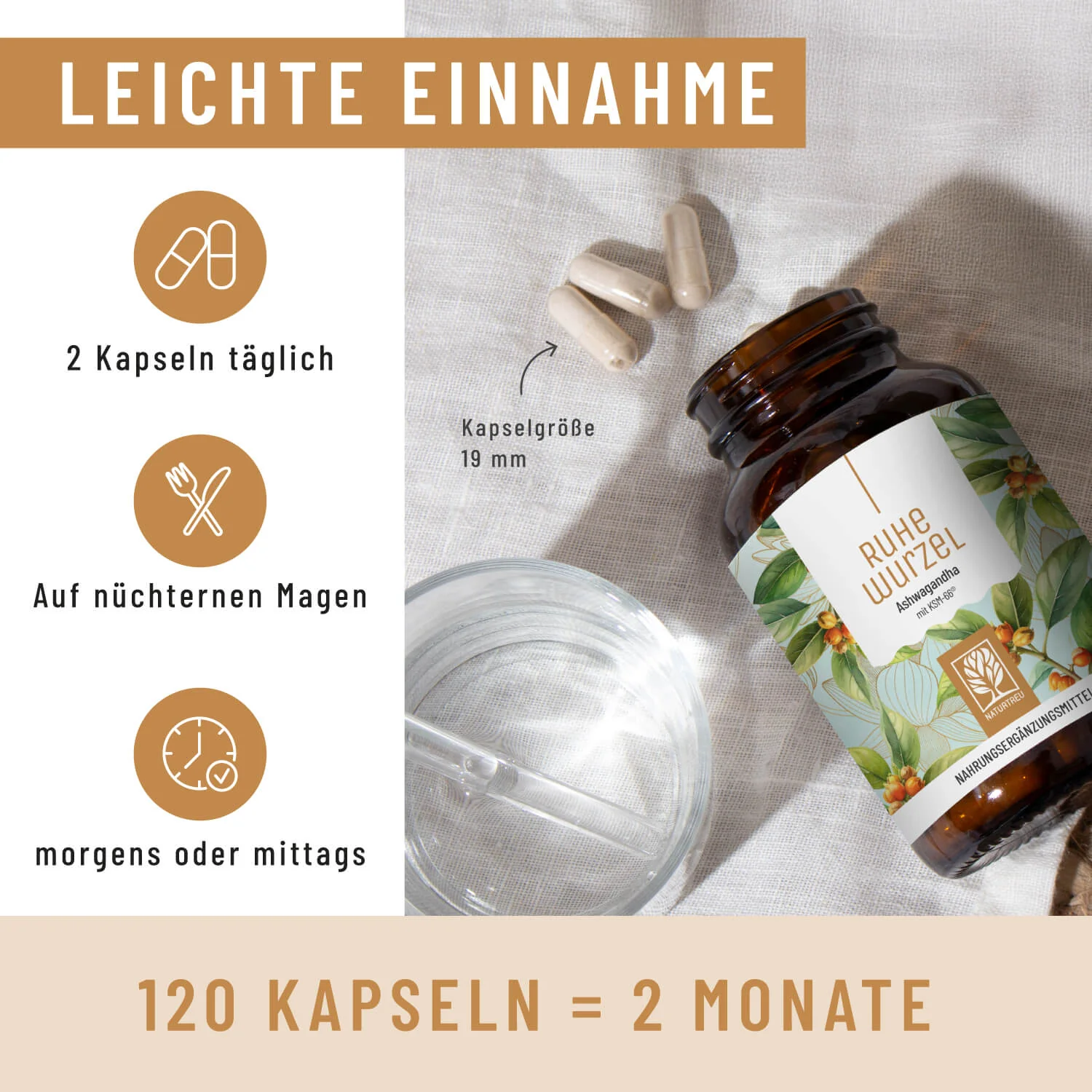 Ruhewurzel: Ashwagandha mit KSM-66® - Image 5