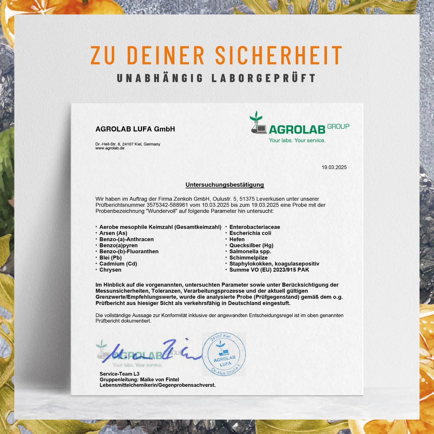 Wundervoll: Zink-Komplex Kapseln - Image 11